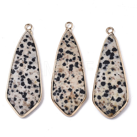 Natural Dalmatian Jasper Pendants G-S359-108C-1