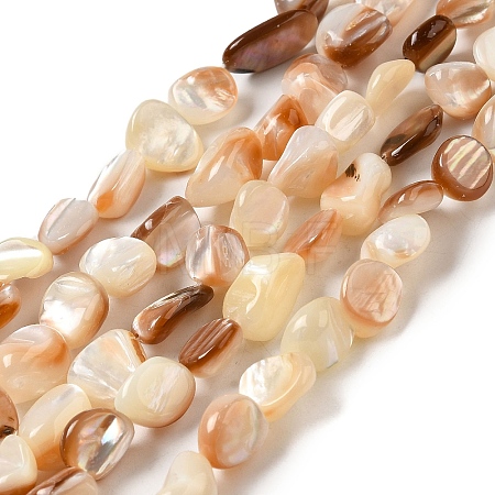 Natural Sea Shell Beads Strands SHEL-K006-16B-1