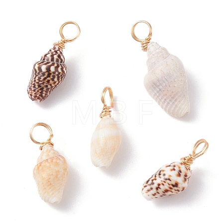 Natural Shell Pendants PALLOY-JF01164-02-1