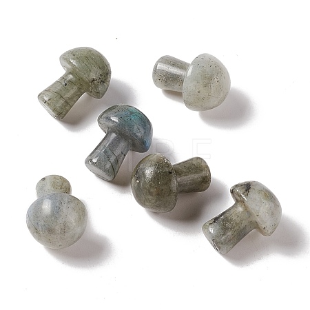 Natural Labradorite GuaSha Stone G-A205-26B-1