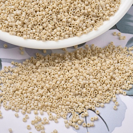 MIYUKI Delica Beads X-SEED-J020-DB1591-1