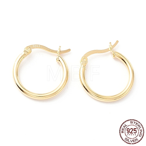 925 Sterling Silver Hoop Earrings STER-P047-13B-G-1