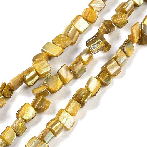 Dyed Natural Freshwater Shell Beads Strands SHEL-P016-01F-1