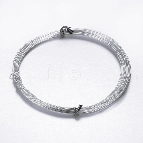 Round Aluminum Craft Wire AW-D009-1mm-10m-21-1