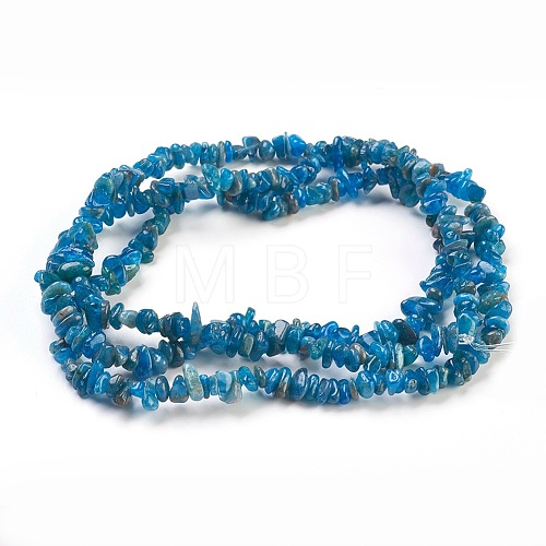 Natural Apatite Beads Strands X-G-F575-08-1