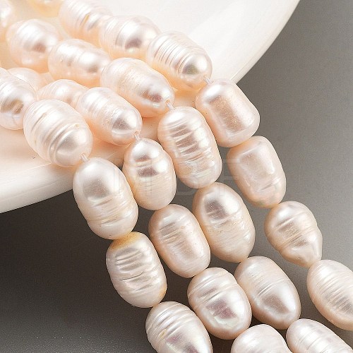 Natural Cultured Freshwater Pearl Beads Strands PEAR-P062-14C-1